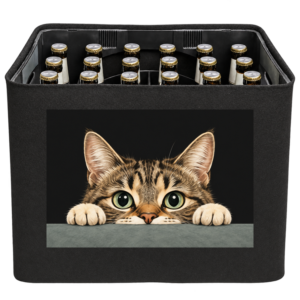 KistenBlende Neugieriger Katzenblick – BIER 24