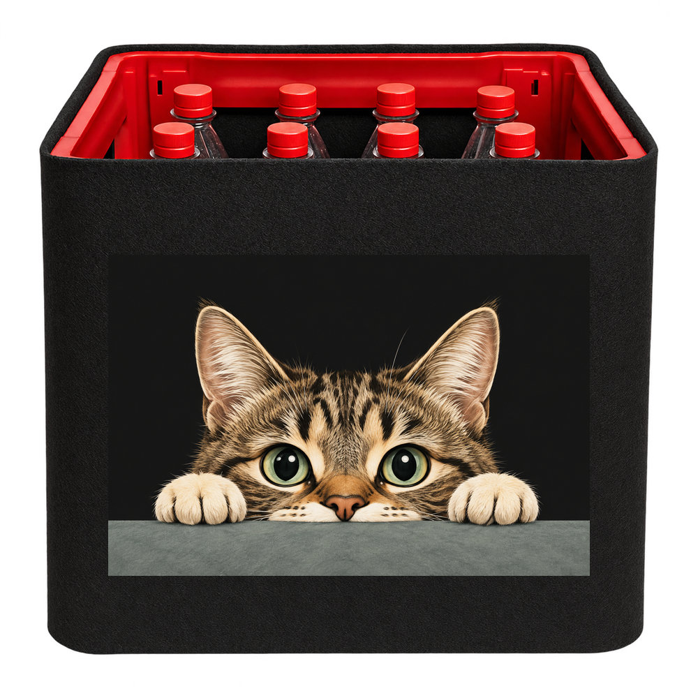 KistenBlende Neugieriger Katzenblick – LIMONADE PET