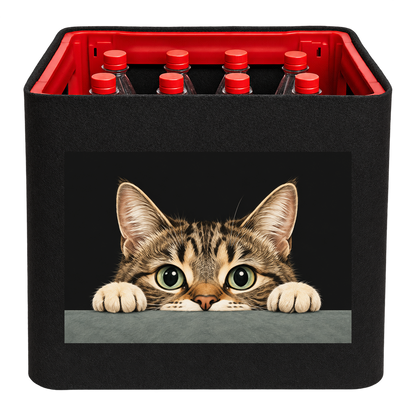 KistenBlende Neugieriger Katzenblick – LIMONADE PET