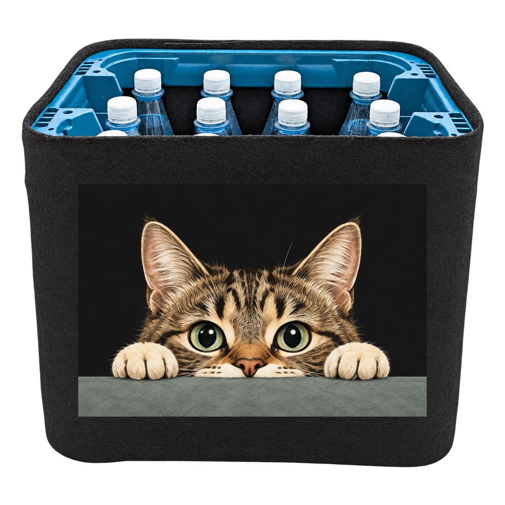 KistenBlende Neugieriger Katzenblick – WASSER PET