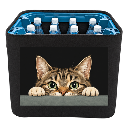 KistenBlende Neugieriger Katzenblick – WASSER PET