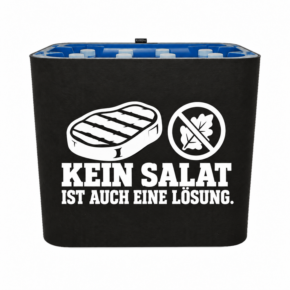 KistenBlende Kein Salat – wasser-pet-12x1l